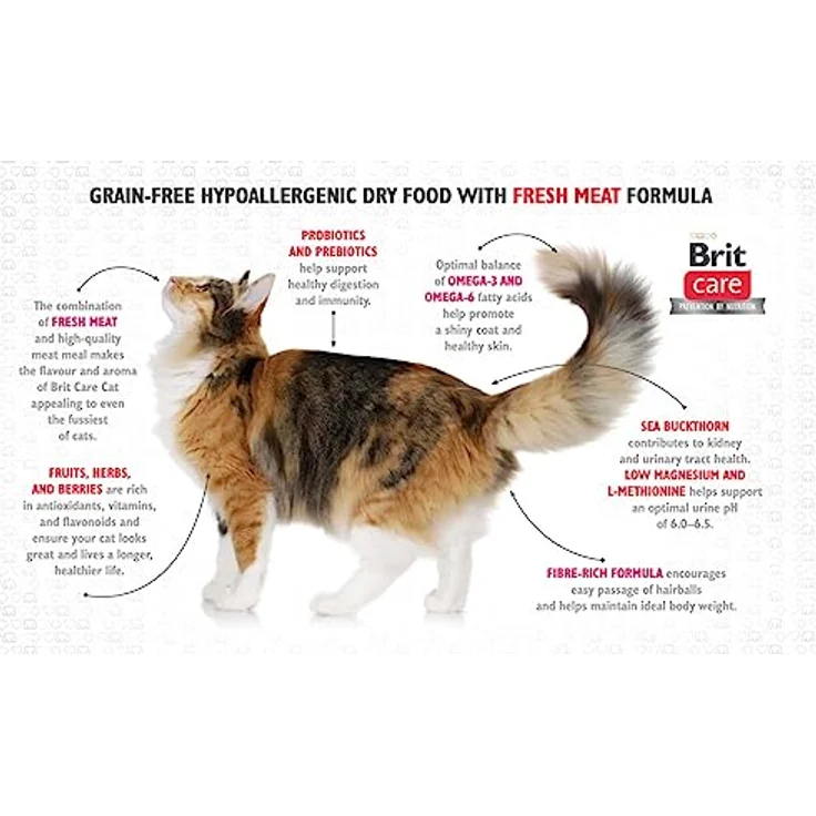 Brit Care GF Kitten Healthy Growth und Development, 2kg Trockenfutter für Kätzchen und säugende Katzen – Bild 4