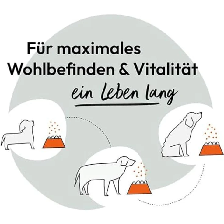 Grau HOKAMIX30 Snack Petit für Hunde, 400g mit 30 pflanzlichen Inhaltsstoffen zur Unterstützung von Haut, Fell und Stoffwechsel – Bild 2