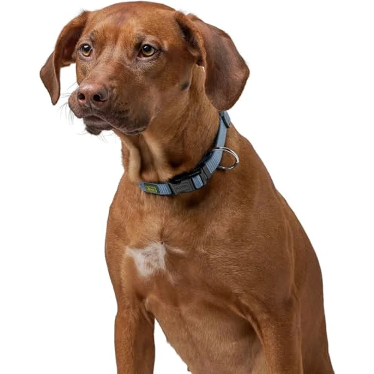 Hunter Tierbedarf Hunde-Halsband Vario-Plus braun, Nylon mit Zugentlastung – Bild 6