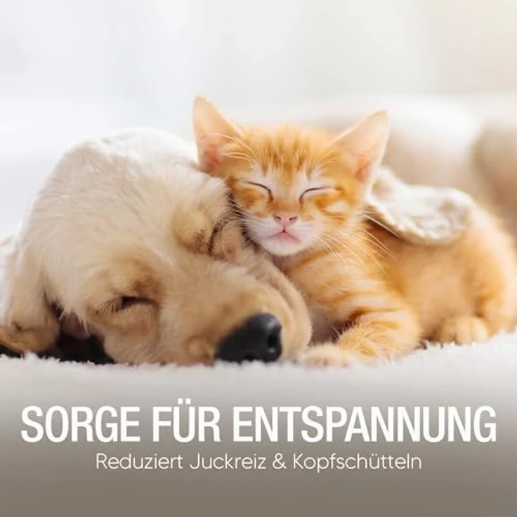 Pawlie's Ohrenreiniger Hund, Natürlicher Ohrreiniger mit Propolis & Meerrettichextrakt, sanfte Ohrenpflege für Hunde & Katzen, 100 ml – Bild 4