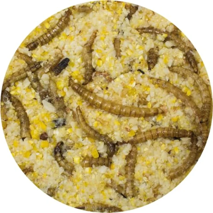 JR FARM Garden PPot Erdnussbutter mit Mehlwürmern, 400g, energiereiches Vogelfutter, gentechnikfrei, made in Germany – Bild 2