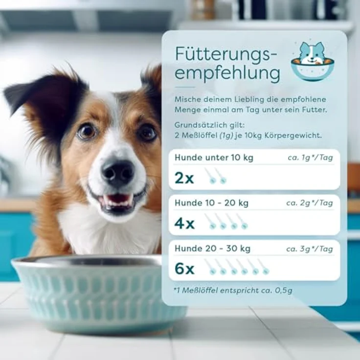 Dr. SAM Premium Immunsystem Pulver für Hunde, pflanzlicher Immunbooster zur Stärkung der Abwehrkräfte, hochdosiert, 45g – Bild 5