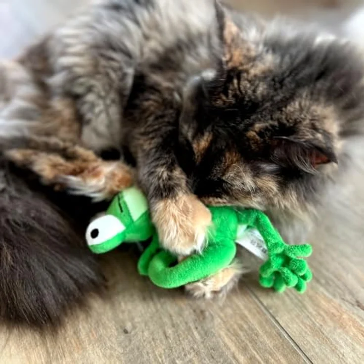 Aumüller Katzenspielkissen Chamäleon Olly mit Baldrian und Dinkelspelz, bunt – Bild 2