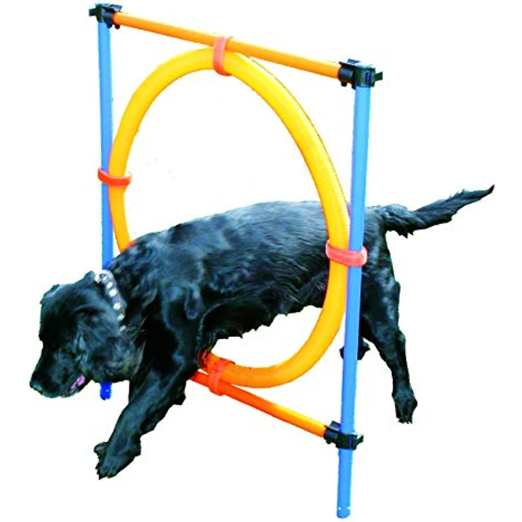 Pawise Agility Ring Ø55Cm - (636.9004), Hundespielzeug, blau – Bild 2