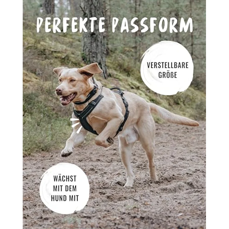 Rudelkönig Hundegeschirr Paola, Reflektierendes Brustgeschirr für große Hunde mit Haltegriff, Verstellbares Neopren-Polsterungsdesign für maximalen Komfort – Bild 3