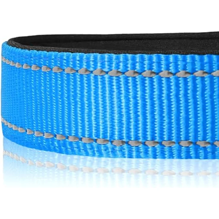 Joytale Gepolstertes Hundehalsband Breit, Verstellbar aus Neopren Nylon, Weich und Reflektierend, für Große Hunde, Größe L, Blau – Bild 4