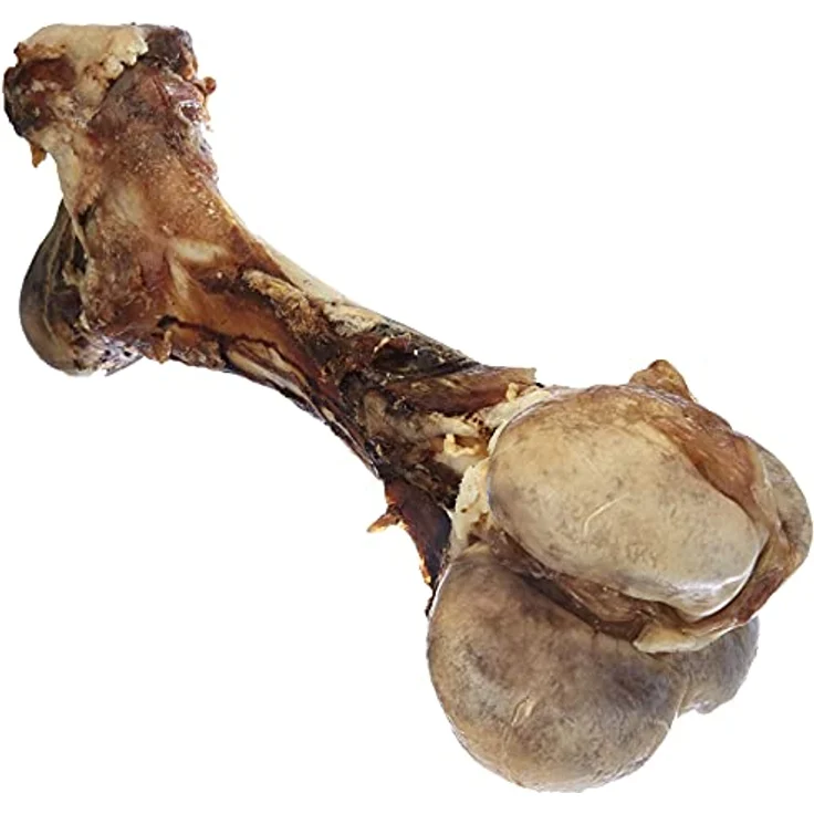 Nobby Rinderknochen XXL, Naturknochen lufgetrocknet, 1 Stück (1800 - 2300 g), 45-55 cm, vakuumverpackt – Bild 1
