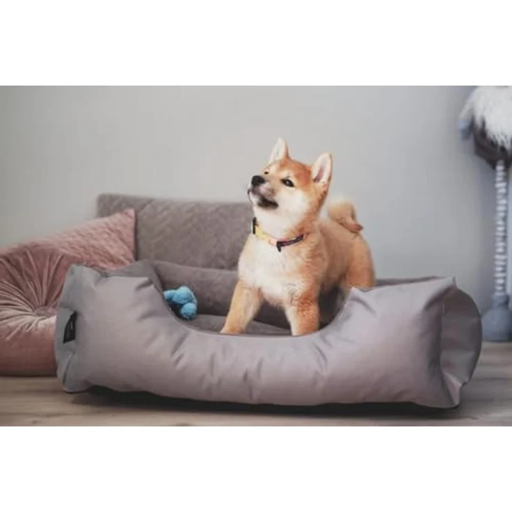 BedDog Tierbett Hundebett ZARA mit Rand, Bezug abnehmbar, pflegeleicht, komfortabel, grau – Bild 7