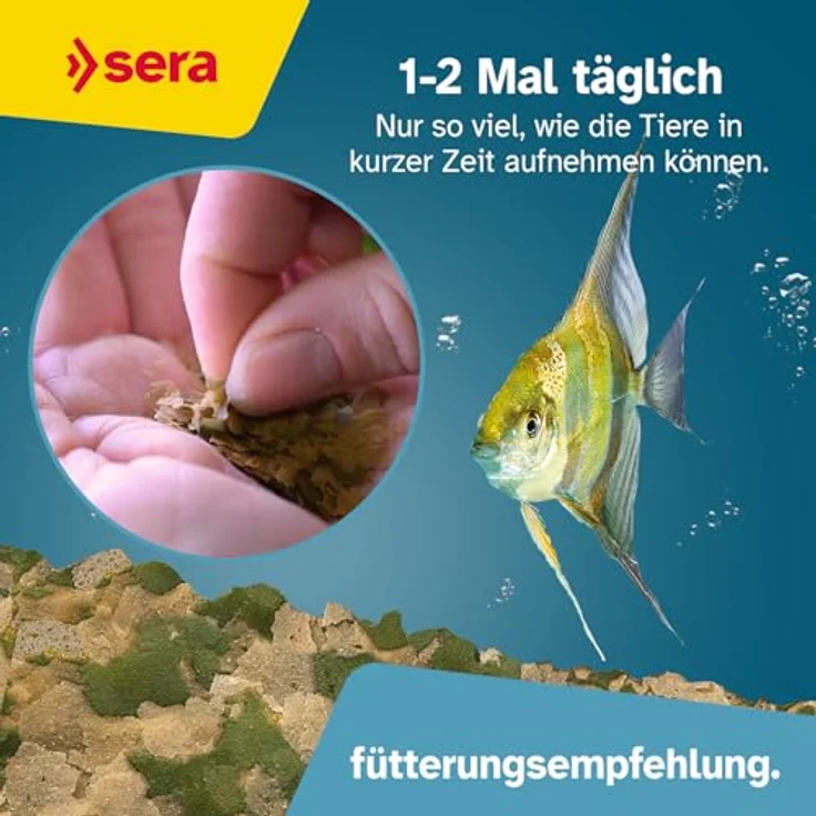 sera Vipan Nature Flakes XL 1L (210g) | Fischfutter für Zierfische mit 4% Insektenmehl | Naturnahe Ernährung für gesundes Wachstum | Formstabile Großflocken für klare Wasseroberfläche – Bild 3
