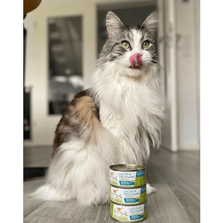 I love my cat NATURAL CAT FOOD Katzenfutter Nass mit Lachs und Truthahn, getreidefrei, 6x100g – Bild 5