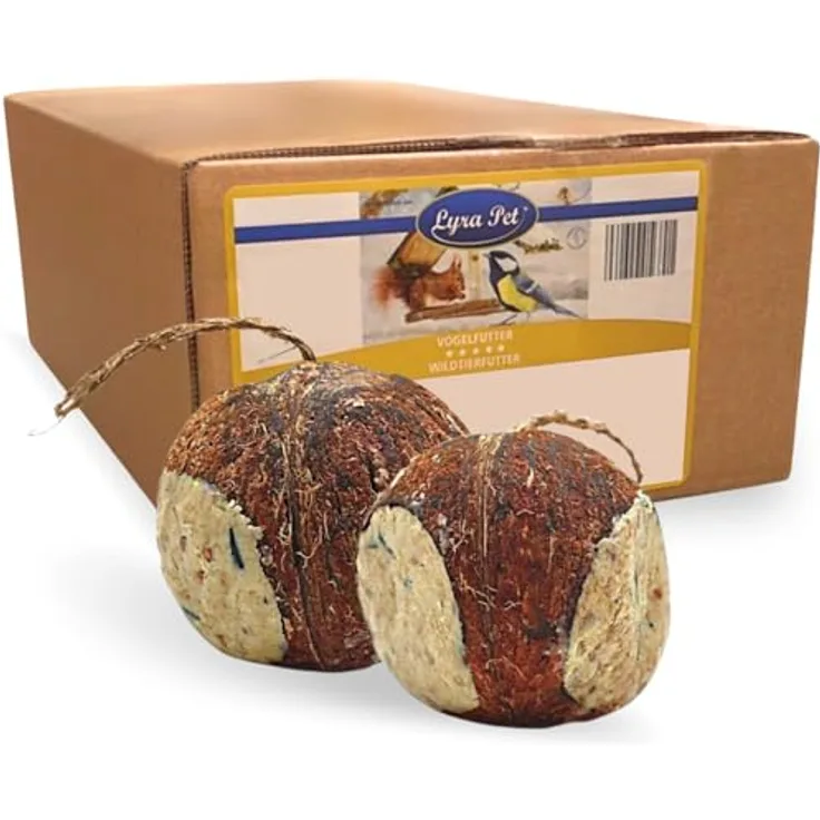 Lyra Pet® 3 x 4 Ganze Kokosnüsse mit 3 Löchern, Fettreiches Wildvogelfutter mit Nährstoffreicher Füllung, Energielieferant für das ganze Jahr, Naturprodukt