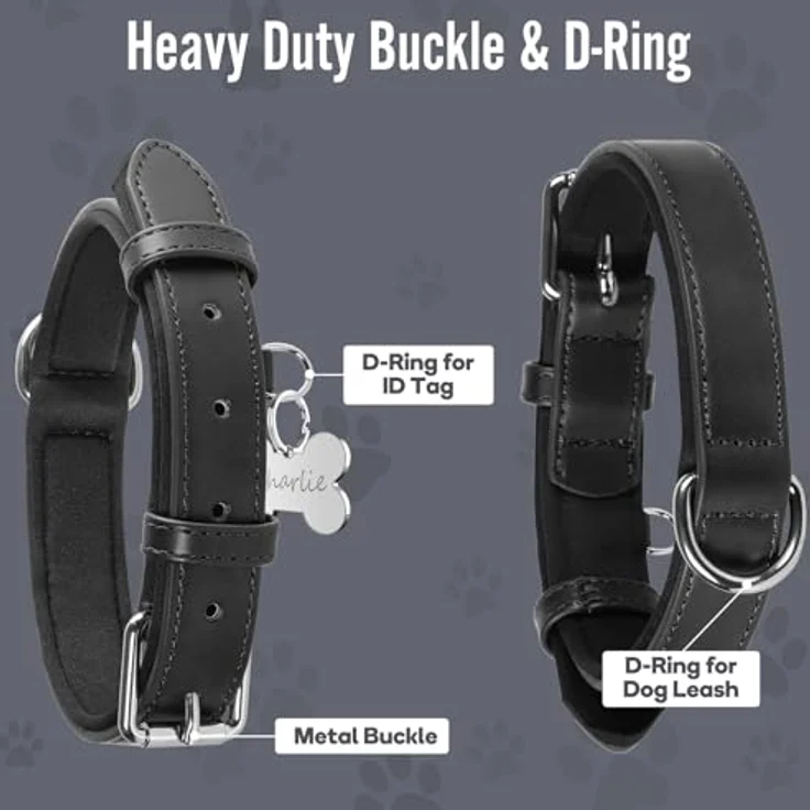 Grand Line Leder Hundehalsband, verstellbares, weich gepolstertes Halsband für kleine bis große Hunde, Schwarz, Größe M – Bild 3