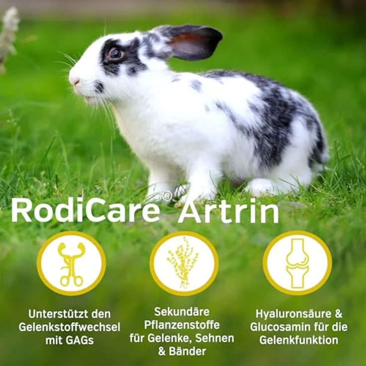 Alfavet RodiCare Artrin, Ergänzungsfuttermittel für Kaninchen, Meerschweinchen und Kleinnager mit Knorpelnährstoffen und Teufelskralle, 50 ml Glasflasche mit Dosierspritze – Bild 3