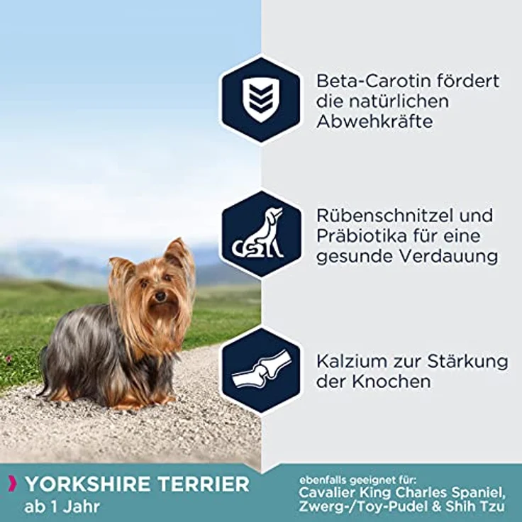 Eukanuba Breed Specific Yorkshire Terrier Trockenfutter, Premium Hundefutter mit Huhn für Yorkshire Terrier, 2 kg, unterstützt gesunde Haut und glänzendes Fell – Bild 5