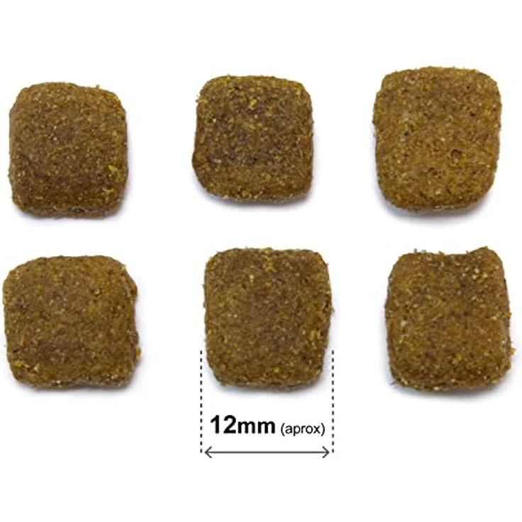 Arquivet Original Adult – Trockenfutter für ausgewachsene Hunde, Lamm und Reis, 12 kg, natürliche Inhaltsstoffe, für alle Rassen, hohe Verdaulichkeit und Zahngesundheit – Bild 3