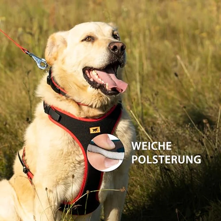 Ferplast ERGOCOMFORT SMALL, verstellbares und gepolstertes Hundegeschirr mit doppeltem Mikroverstellverschluss und Schnellverschluss, Rot – Bild 5