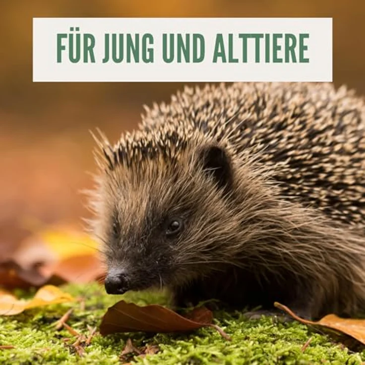 Orni Igelfutter mit Insekten, Alleinfutter für Igel, getreidefrei, 5kg, hohe Fleischanteil mit Mehlwürmern und Seidenraupen – Bild 5