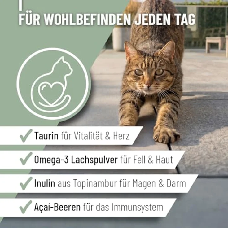 ReaVET 4in1 Complete für Katzen, Tägliche Ergänzung mit Taurin, Vitamine, aktiviert Abwehrkräfte, stärkt Immunsystem, 60g – Bild 2
