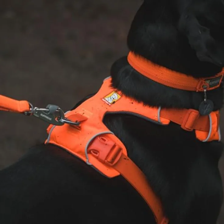 Ruffwear Front Range Hundegeschirr, reflektierendes verstellbares Y-Geschirr mit 2 Leinenbefestigungen und V-Ring, bequem gepolstert, Blaze Orange, Größe XS – Bild 5