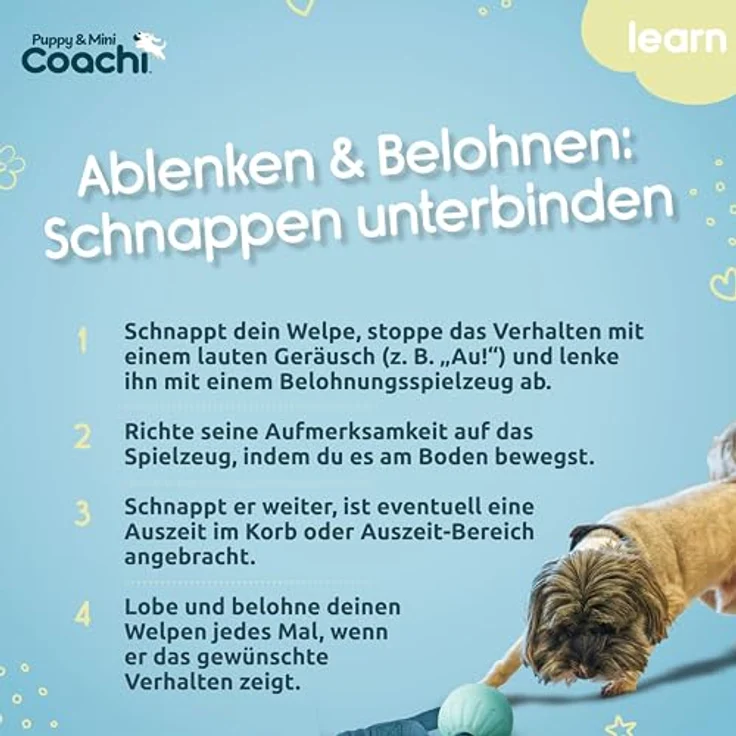 Coachi Puppy & Mini Tuggi Ball, Hundespielzeug aus robustem Schaumstoff mit dehnbarem Bungee-Griff, ideal für Zerrspiele und Apportieren – Bild 5