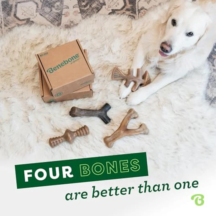 Benebone Durable Dog Chew Toy Box, 4-teiliges Set für aggressive Kaucher mit Wishbone, Fishbone, Stick & Zaggler, Medium – Bild 5