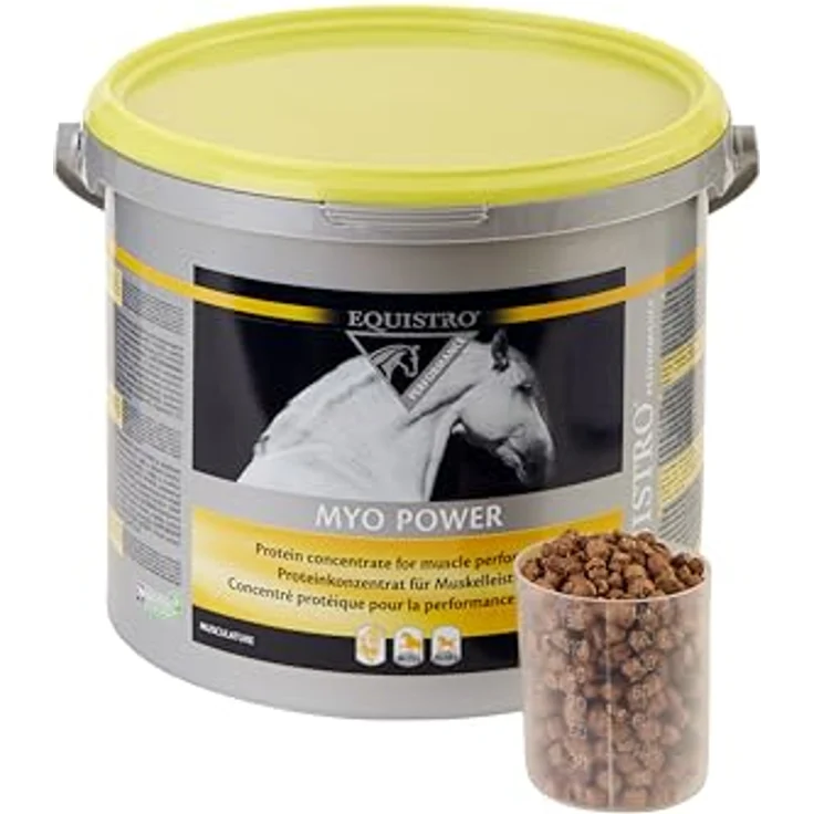 EQUISTRO® Myo Power, Ergänzungsfuttermittel für Pferde, Aminosäurekonzentrat zur Unterstützung des Muskelaufbaus, fördert Ausdauer und Kondition, 2,3kg – Bild 4