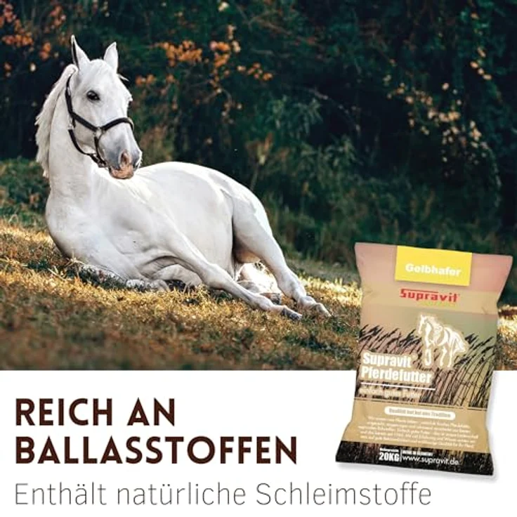 Supravit Hafer ganz 20kg, Frischer gelber Futterhafer, ungeschält, staubfrei, für Pferd und Pony, natürliche Energie- und Kraftquelle, Made in Germany – Bild 5