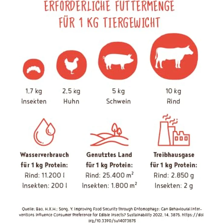 Bosch HPC Insect Adult, Hunde-Trockenfutter mit Tapioka und Äpfeln, 2,5kg, glutenfrei und für Allergiker geeignet – Bild 6