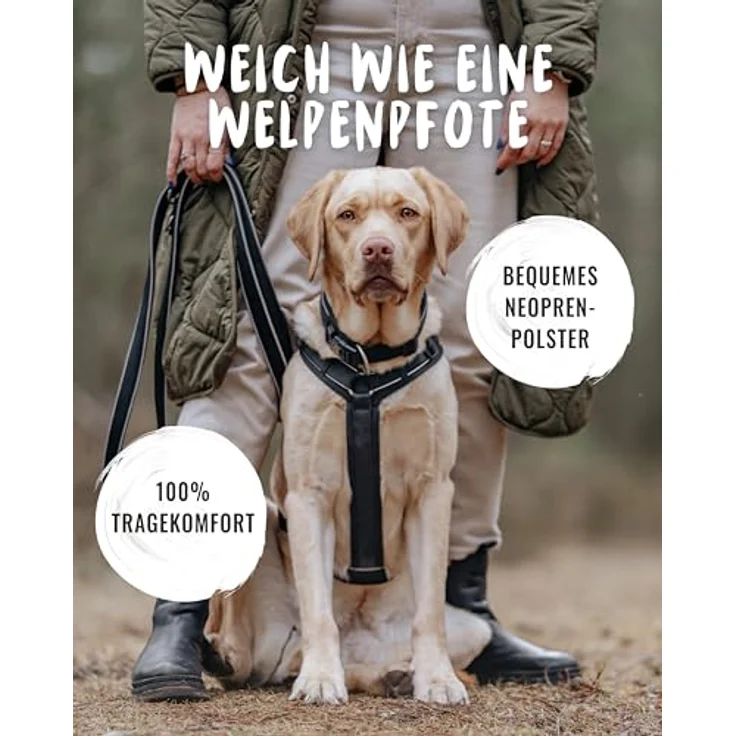 Rudelkönig Hundegeschirr Paola, Reflektierendes Brustgeschirr für große Hunde mit Haltegriff, Verstellbares Neopren-Polsterungsdesign für maximalen Komfort – Bild 2