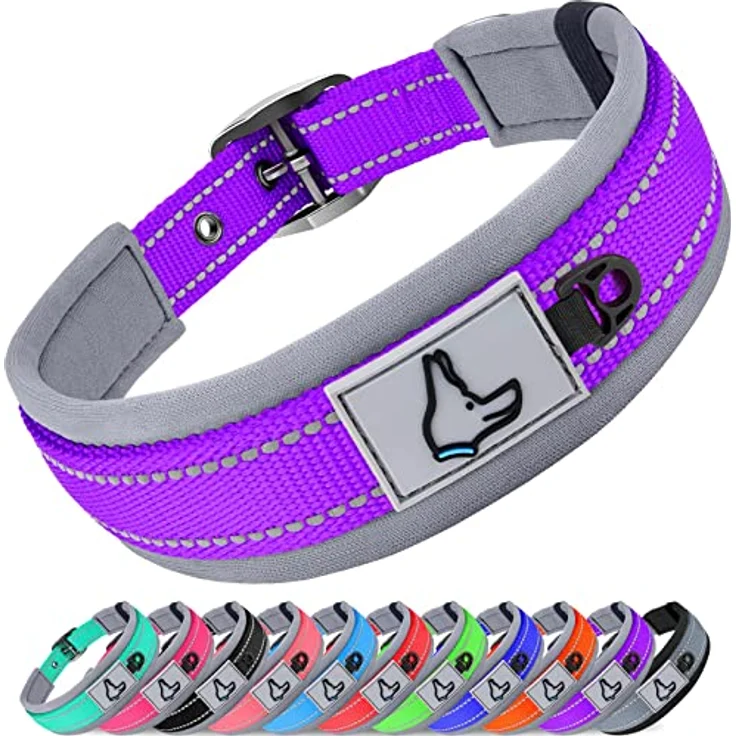 Joytale Halsband für Hunde, gepolstertes Neopren-Hundehalsband für kleine Hunde, reflektierend und strapazierfähig, lila – Bild 1