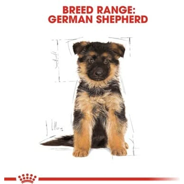 ROYAL CANIN German Shepherd Puppy, Trockenfutter für Deutsche Schäferhund Welpen, 3 kg, mit optimierter Nährstoffversorgung und speziellen Kroketten für leichtes Kauen – Bild 8