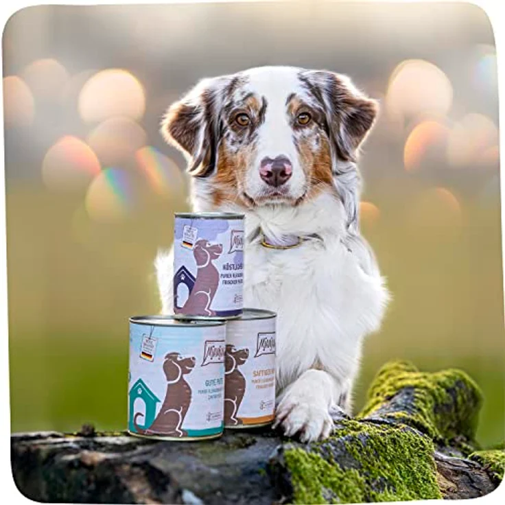 MjAMjAM purer Fleischgenuss 6 x 800 g, Hunde-Nassfutter mit Mono-Protein, getreide- und laktosefrei, gute Pute pur – Bild 3