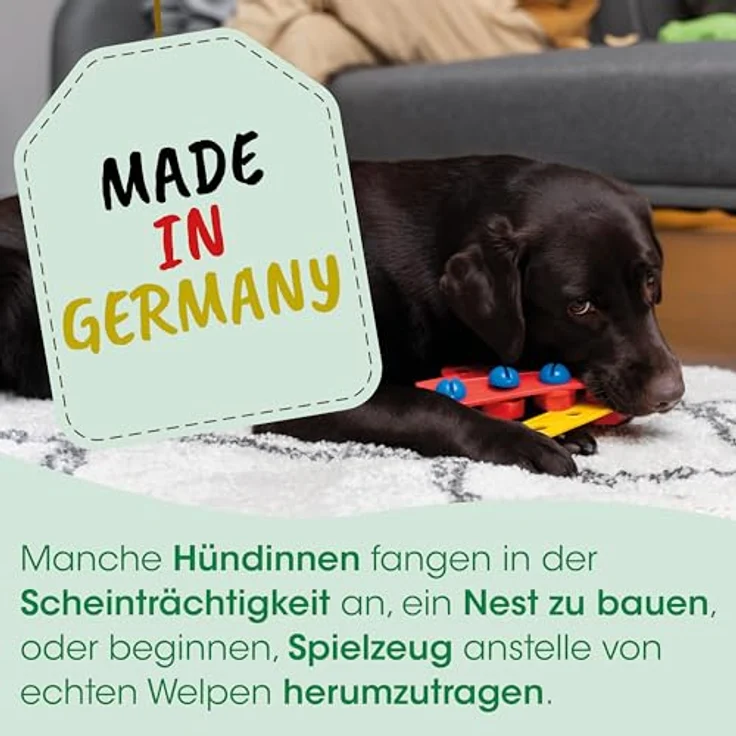 cdVet ZyklusRegulat, Ergänzungsfuttermittel für Hunde zur Unterstützung hormoneller Prozesse, 120 g - Scheinschwangerschaft + Läufigkeit + Harmonisierung – Bild 4
