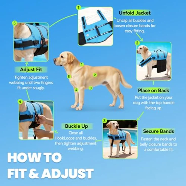 VIVAGLORY Hunde Schwimmweste Rip Stop, Sicherheitsweste mit extra Polsterung, S, Blau – Bild 5