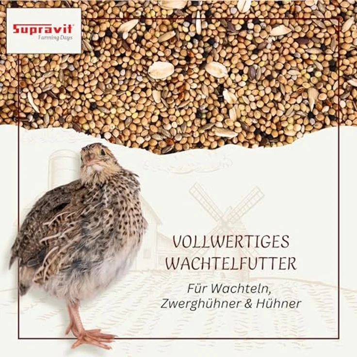 Supravit Wachtelfutter 25kg, Vollwertige Körnermischung für Wachteln und Hühner, ohne Zusatzstoffe, Hergestellt in Deutschland – Bild 2