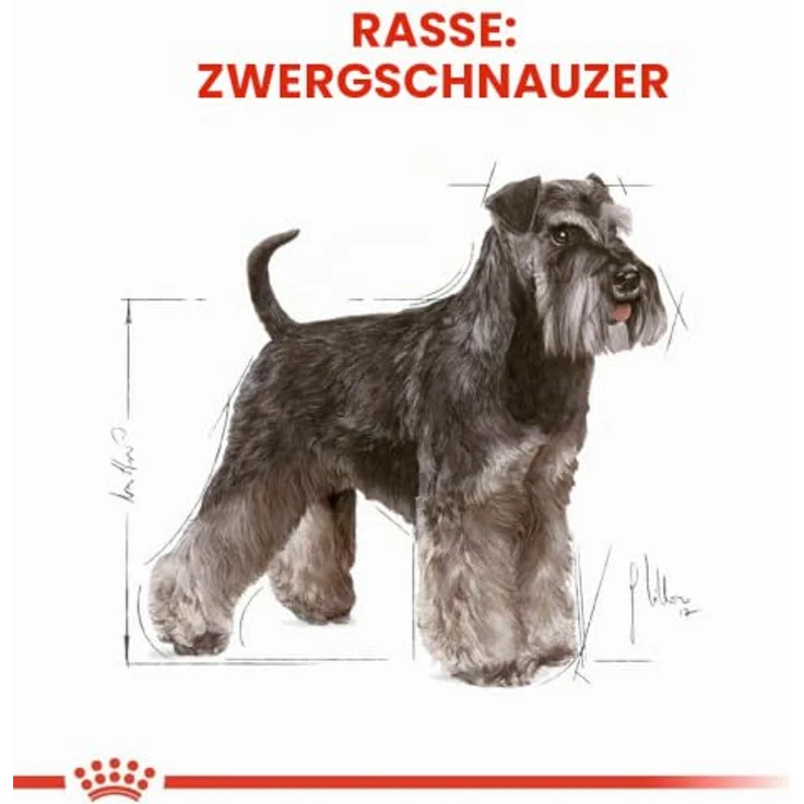 Royal Canin Miniature Schnauzer Adult, Trockenfutter für ausgewachsene Zwergschnauzer, 7,5 kg – Bild 3