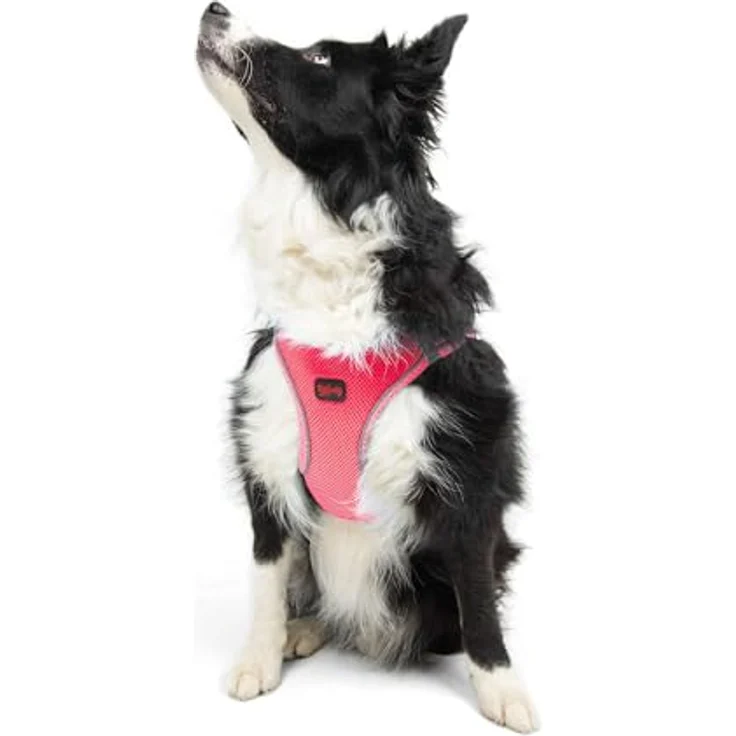 Tailpetz Air-Mesh Brustgeschirr für kleine und mittelgroße Katzen und Hunde – Weich, Atmungsaktiv, Strapazierfähig, Neonpink, XL (Brustumfang 66–70cm) – Bild 1