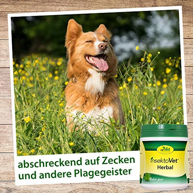 cdVet insektoVet herbal, Ergänzungsfuttermittel für Hundefutter zur Unterstützung der Hundegesundheit, 250g – Bild 5