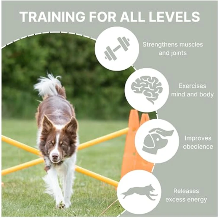 Trixie 32091 Dog Activity Hindernisse, Agility-Set mit 3 variablen Hindernissen, ø 23 × 30 cm/78 cm, robust in orange/gelb – Bild 5