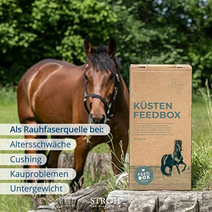 STRÖH Küsten-Heu-Luzerne-Cobs, 30kg Feedbox, Raufutter Snack aus 100% Natur mit essentiellen Aminosäuren, ideal für Pferde mit besonderen Ernährungsbedürfnissen – Bild 4