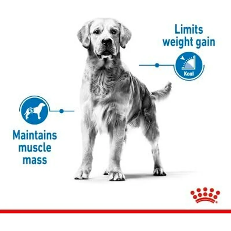 Royal Canin Light Weight Care Maxi, Trockenfutter für große Hunde mit reduziertem Fettgehalt und Gelenkunterstützung, 12 kg – Bild 7