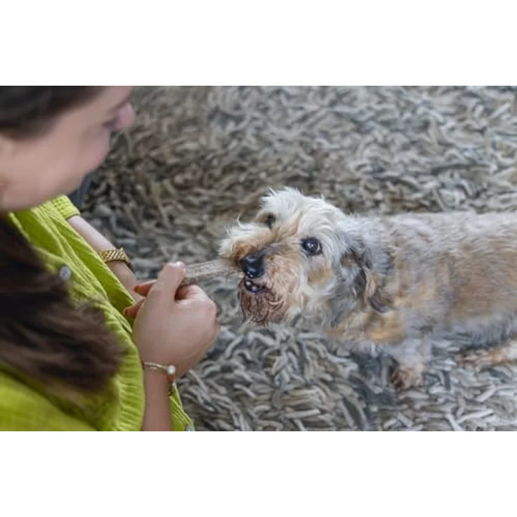 Karlie Hirsch Streifen, natürliche Hundesnacks, 200 g, glutenfrei, ohne Farb- und Aromastoffe – Bild 3