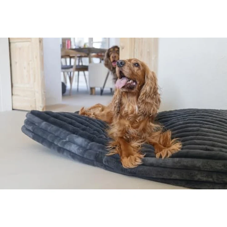 Designed By Lotte Tierkissen Hundekissen Reza anthrazit - Stilvolles Liegekissen mit recyceltem Innenbezug – Bild 10