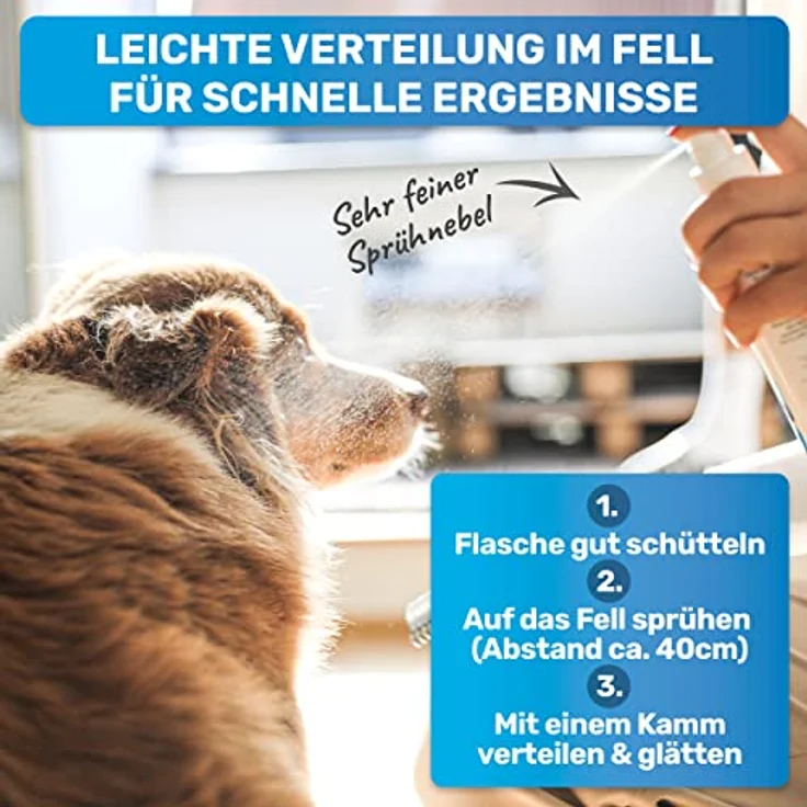 BluePet Entfilzungsspray 200 ml für Hunde & Katzen, Anti-Filz Spray mit Aloe Vera, Shea-Butter & Jojobaöl, verbessert Kämmbarkeit, dermatologisch getestet, vegan – Bild 4