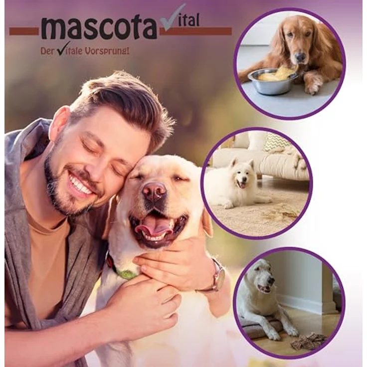 123... Hund dabei! mascota vital Ziegen-Lungenwürfel 200g, 100% natürliche, schonend getrocknete Ziegenlunge, kalorienarmer Trainingssnack, ideal für ernährungssensible Hunde, fördert Zahngesundheit – Bild 5