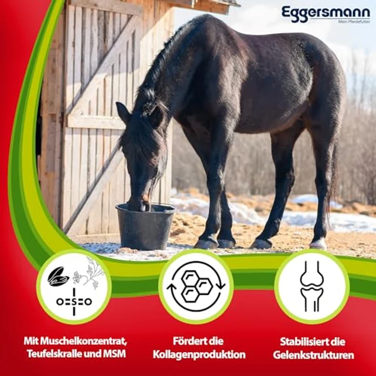Eggersmann Mein Pferdefutter Profi Gelenk aktiv, Ergänzungsfuttermittel für Pferde & Ponys zur Unterstützung von Sehnen & Gelenken, 1 kg, hohe Qualität – Bild 2