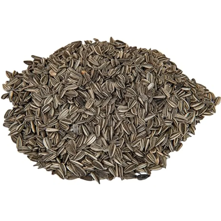 Futterhof Gestreifte Sonnenblumenkerne, 25 kg, ideales Ganzjahresfutter für Körnerfresser – Bild 2