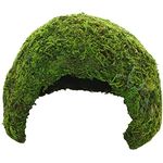 Hobby 34602 Jungle Cave 2, Terrarien-Dekoration zur Luftfeuchtigkeitssteigerung, 118 g, aus erneuerbaren Ressourcen