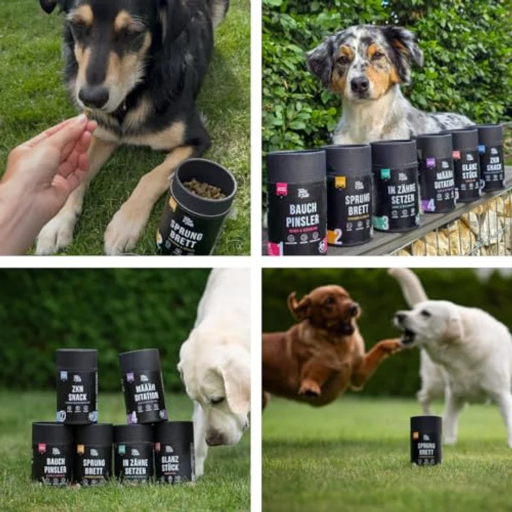 Tales & Tails Sprungbrett Funktionaler Snack für Hunde mit Lammmonoprotein, Grünlippmuschel, Kollagen, Allergiker geeignet, Getreidefrei - 1 Dose 325g – Bild 4