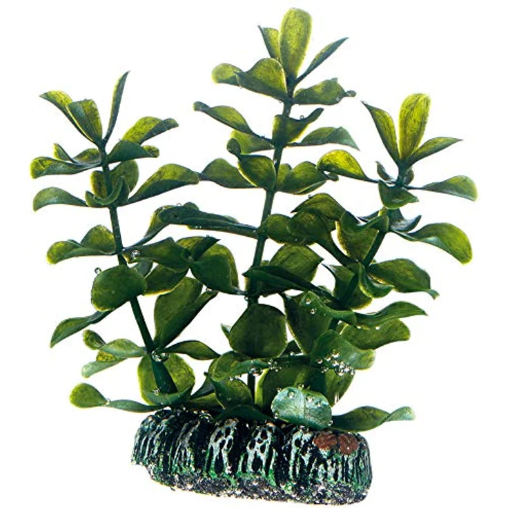 Dohse Plantasy Set 6, Aquarium Dekoration mit vielfältigen Pflanzen-Designs – Bild 10